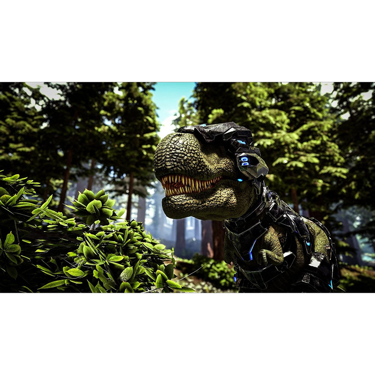 Ark : Survival Evolved SWITCH