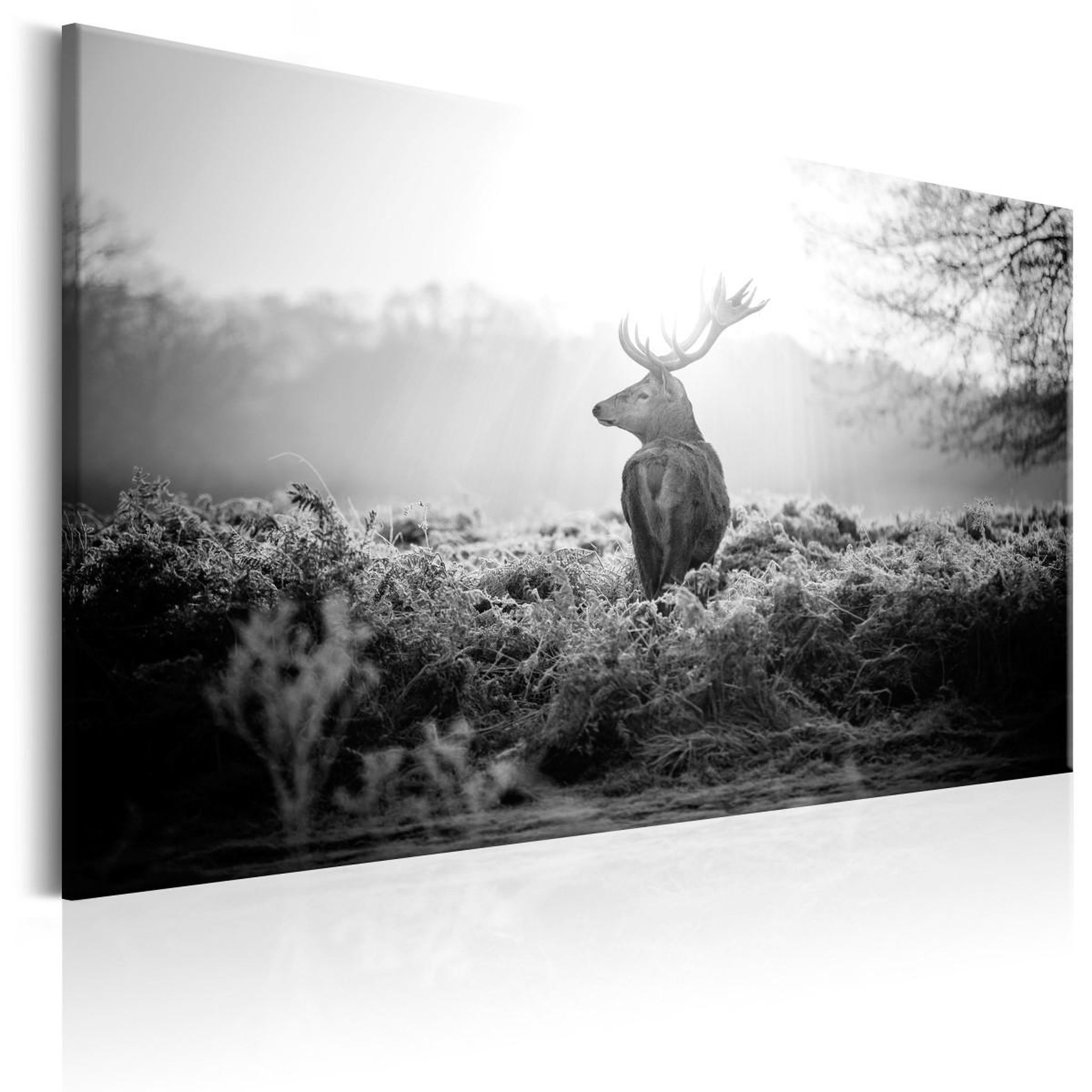 Voir la diapositive 1 : Paris Prix Tableau imprimé  black & white deer