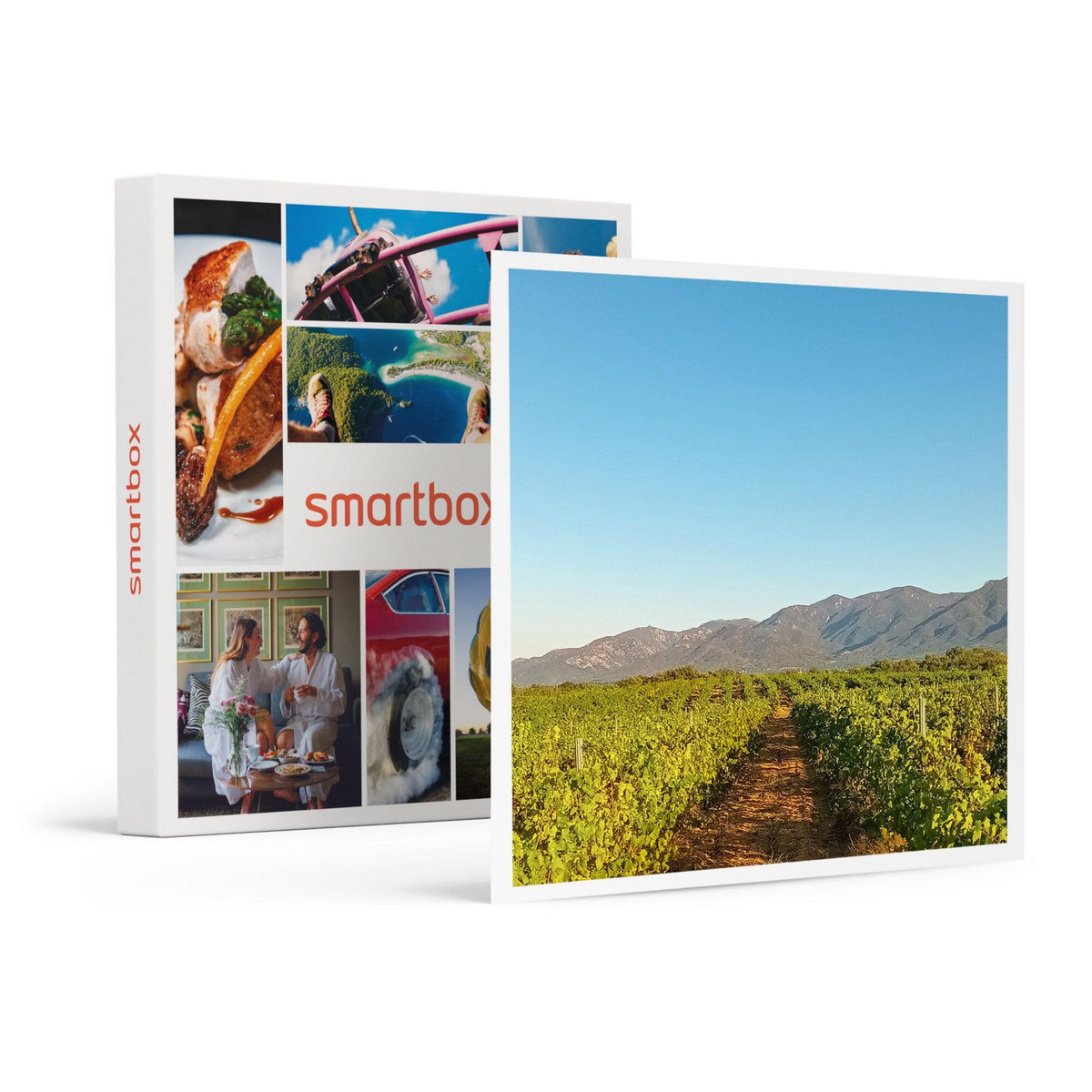 Smartbox Visite d'un domaine viticole près de Perpignan avec dégustation et 6 bouteilles offertes - Coffret Cadeau Gastronomie