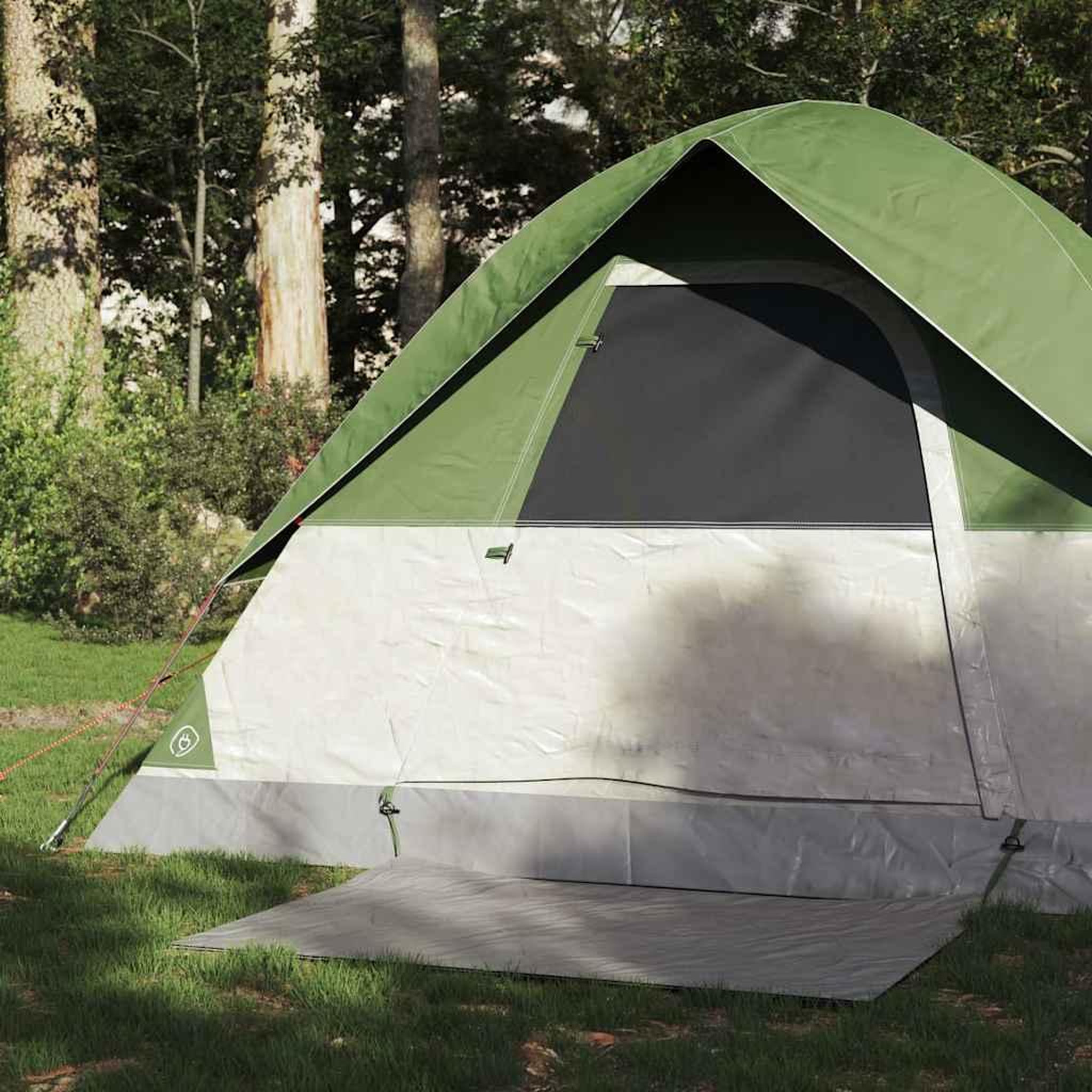 VIDAXL Tente de camping a dome 2 personne vert impermeable