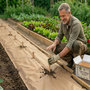 Voir la diapositive 3 : KZ GARDEN Lots de 60 Piquets de fixation Bois peuplier Toile de Paillage - Ancrage sol Jardin Potager, Fixation bâche paillage KZ GARDEN