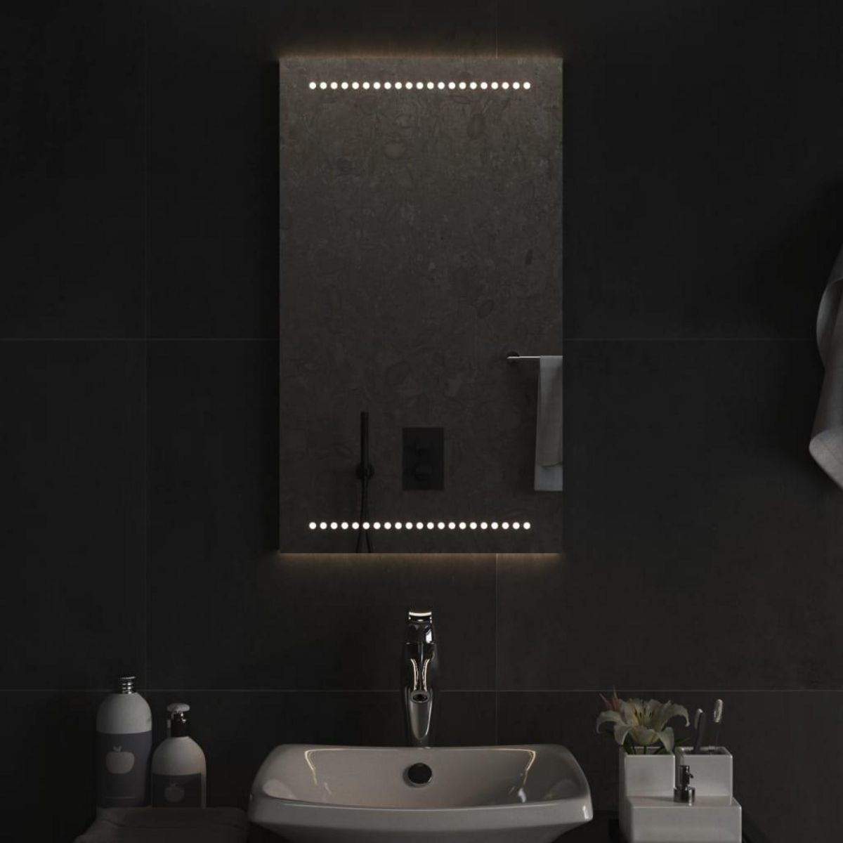 VIDAXL Miroir de salle de bain a LED 40x70 cm