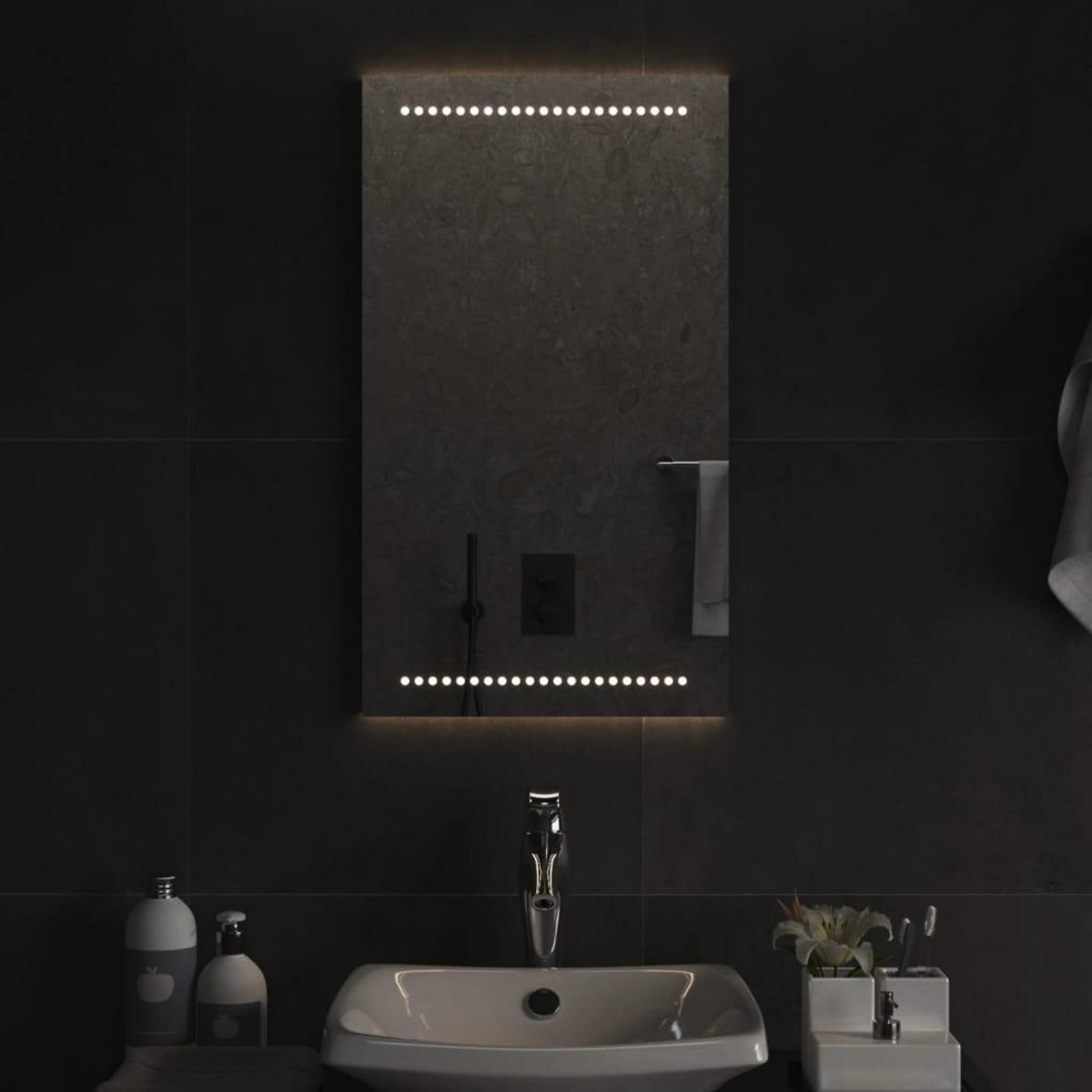 VIDAXL Miroir de salle de bain a LED 40x70 cm