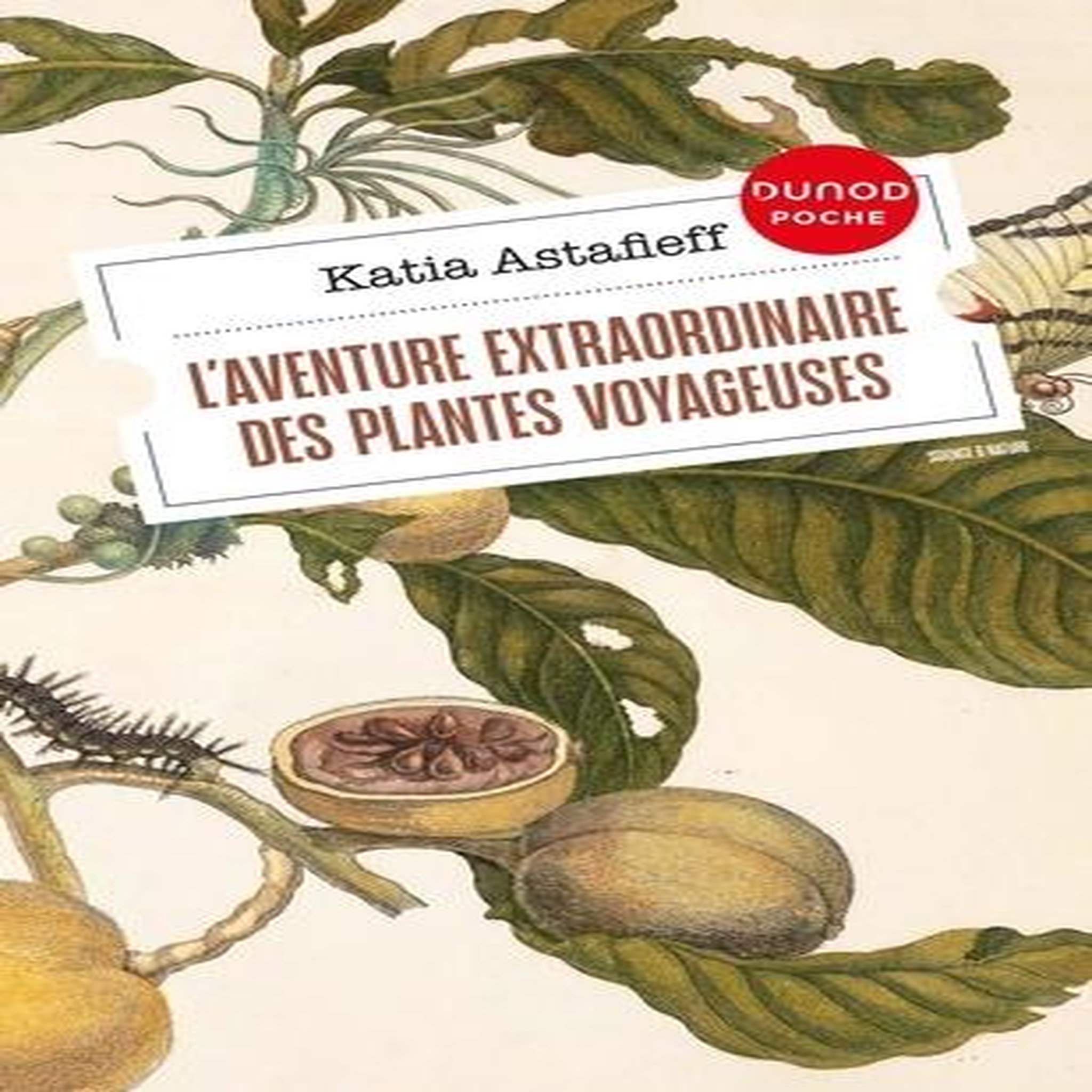 L'AVENTURE EXTRAORDINAIRE DES PLANTES VOYAGEUSES, Astafieff Katia