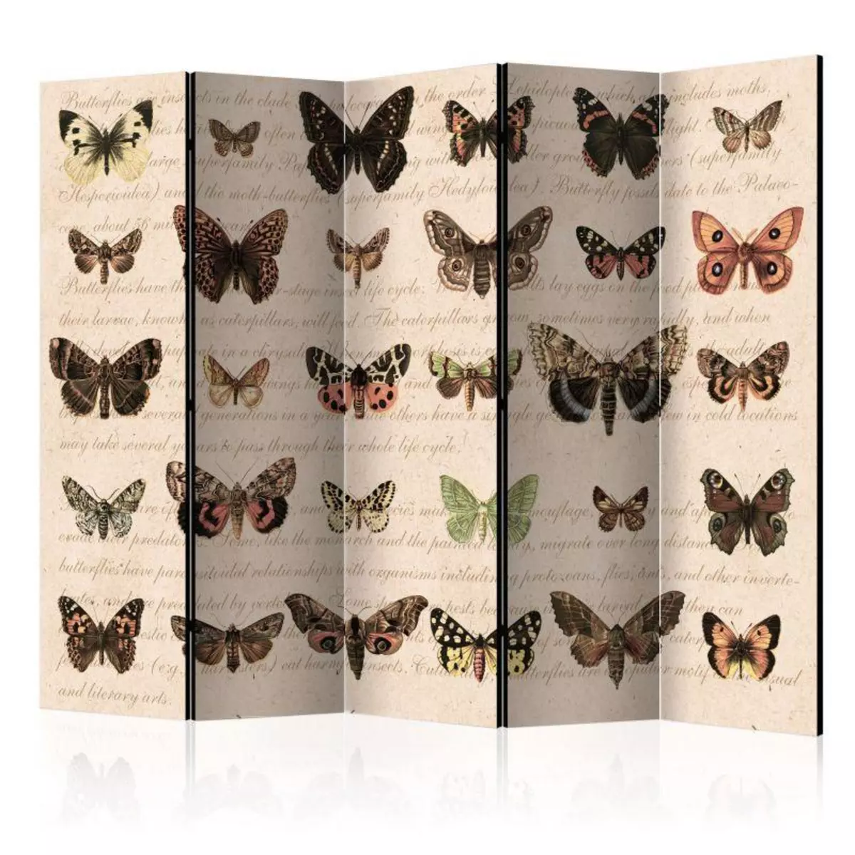 Paris Prix Paravent 5 Volets  Retro Style : Butterflies  172x225cm