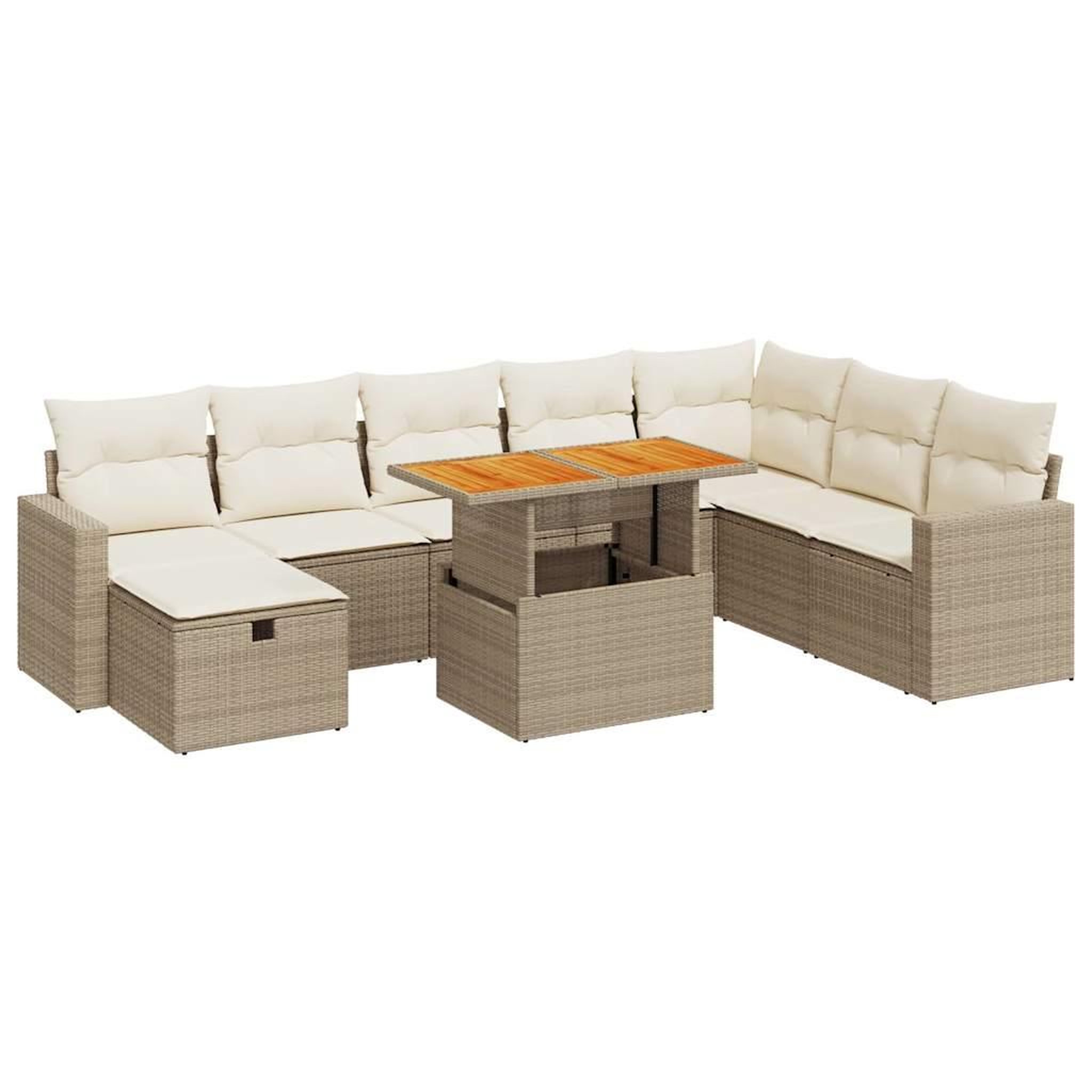 Voir la diapositive 2 : VIDAXL Salon de jardin avec coussins 9 pcs beige resine tressee acacia