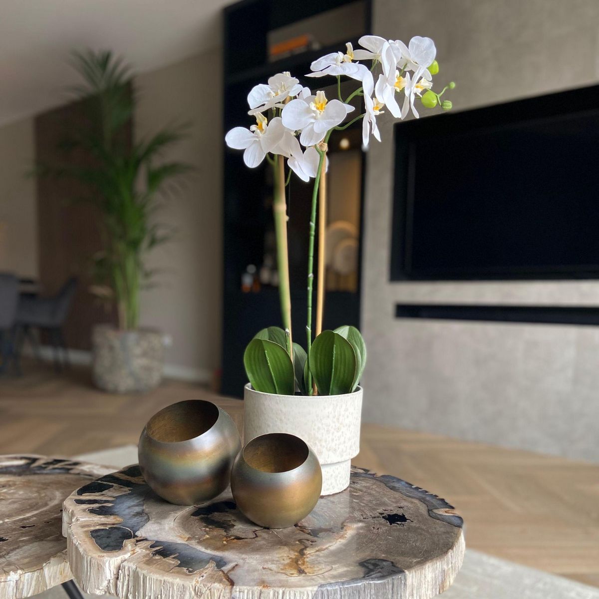 PLANT IN A BOX Orchidée Phalaenopsis artificielle - Hauteur 55cm