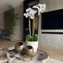Voir la diapositive 4 : PLANT IN A BOX Orchidée Phalaenopsis artificielle - Hauteur 55cm