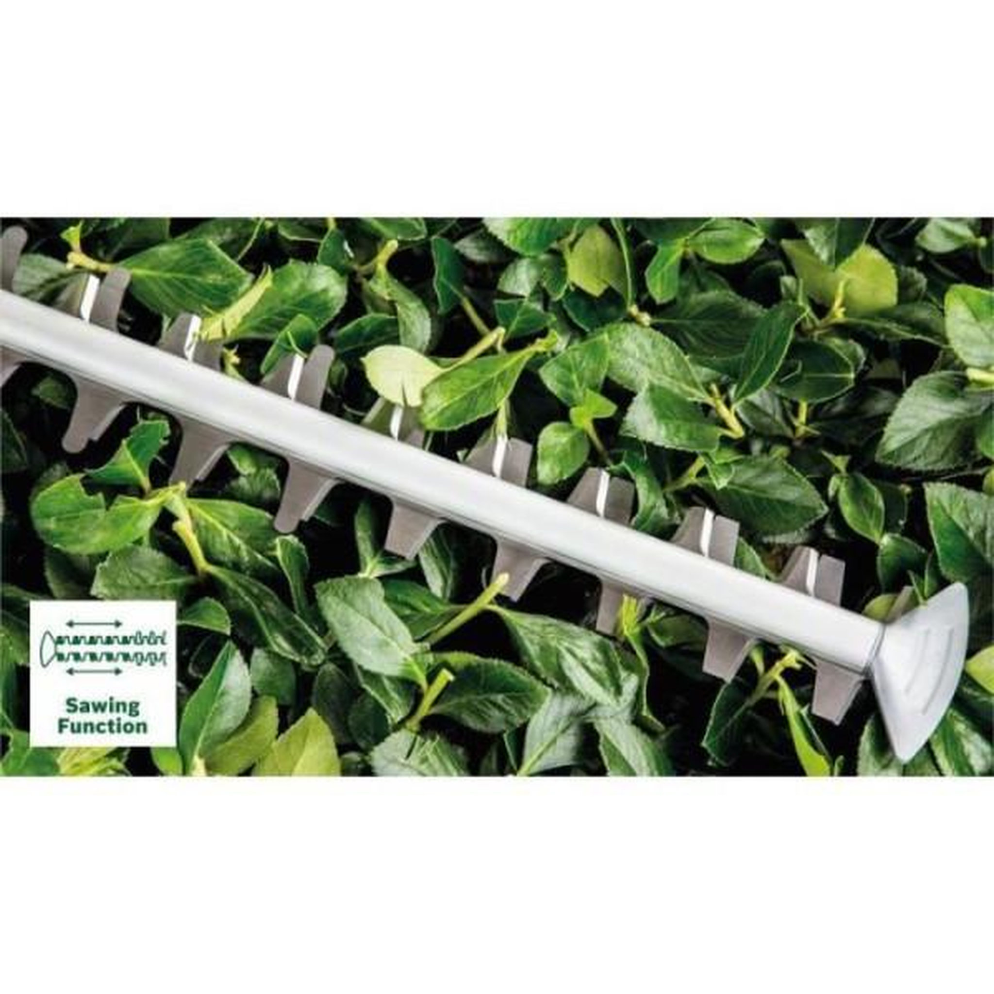 Voir la diapositive 3 : BOSCH Taille-haies sans fil advanced hedge cut 36v-65-28