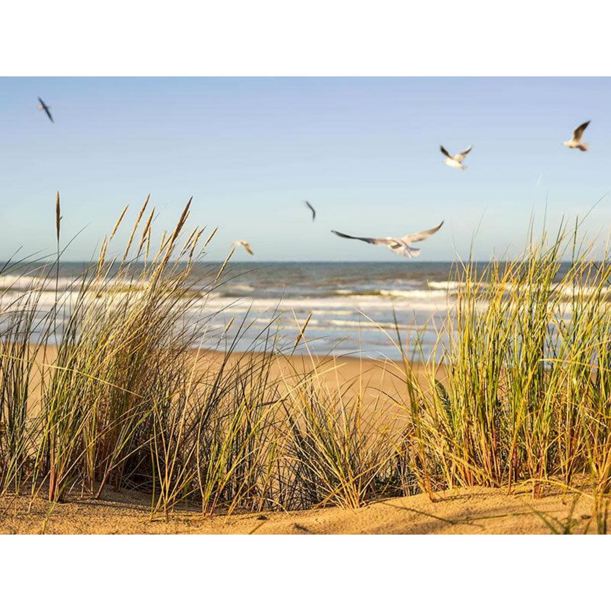 Smartbox Séjour en hôtel Mercure 4* : 2 jours avec dîner, modelage et espace détente au Touquet - Coffret Cadeau Séjour