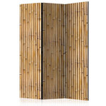 Paris Prix Paravent 3 Volets  Amazonian Wall  135x172cm
