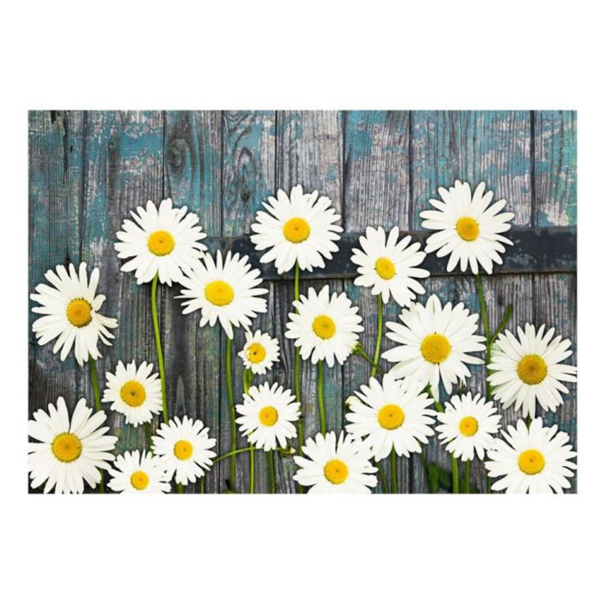 Paris Prix Papier Peint  Return To the Innocence