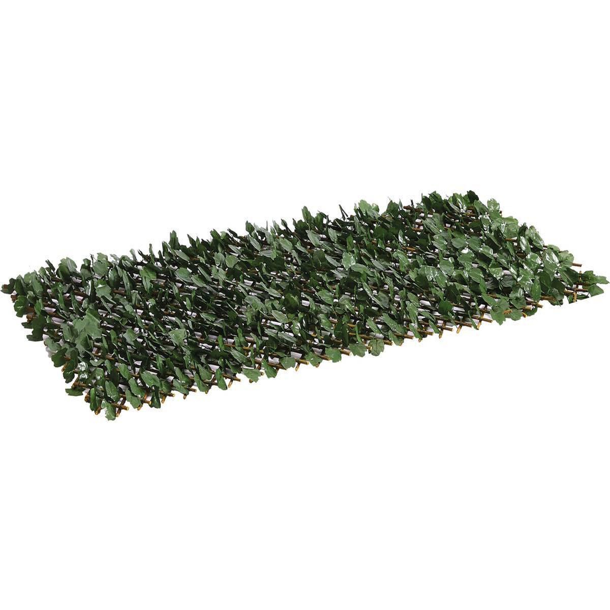 Voir la diapositive 4 : Habitat et Jardin Clôture en treillis de saule  Fragon  - 200 x 100 cm - Vert