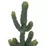  Plante Artificielle Cactus  Alicante  49cm Vert
