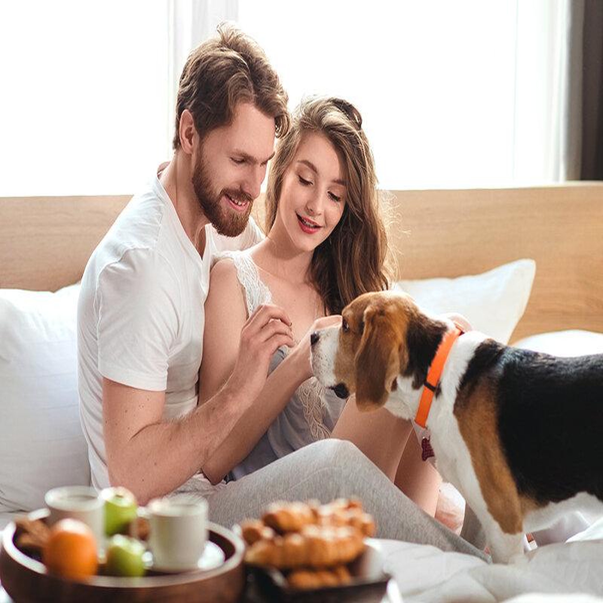 Voir la diapositive 6 : Smartbox Escapade de 2 jours avec votre animal de compagnie - coffret cadeau séjour