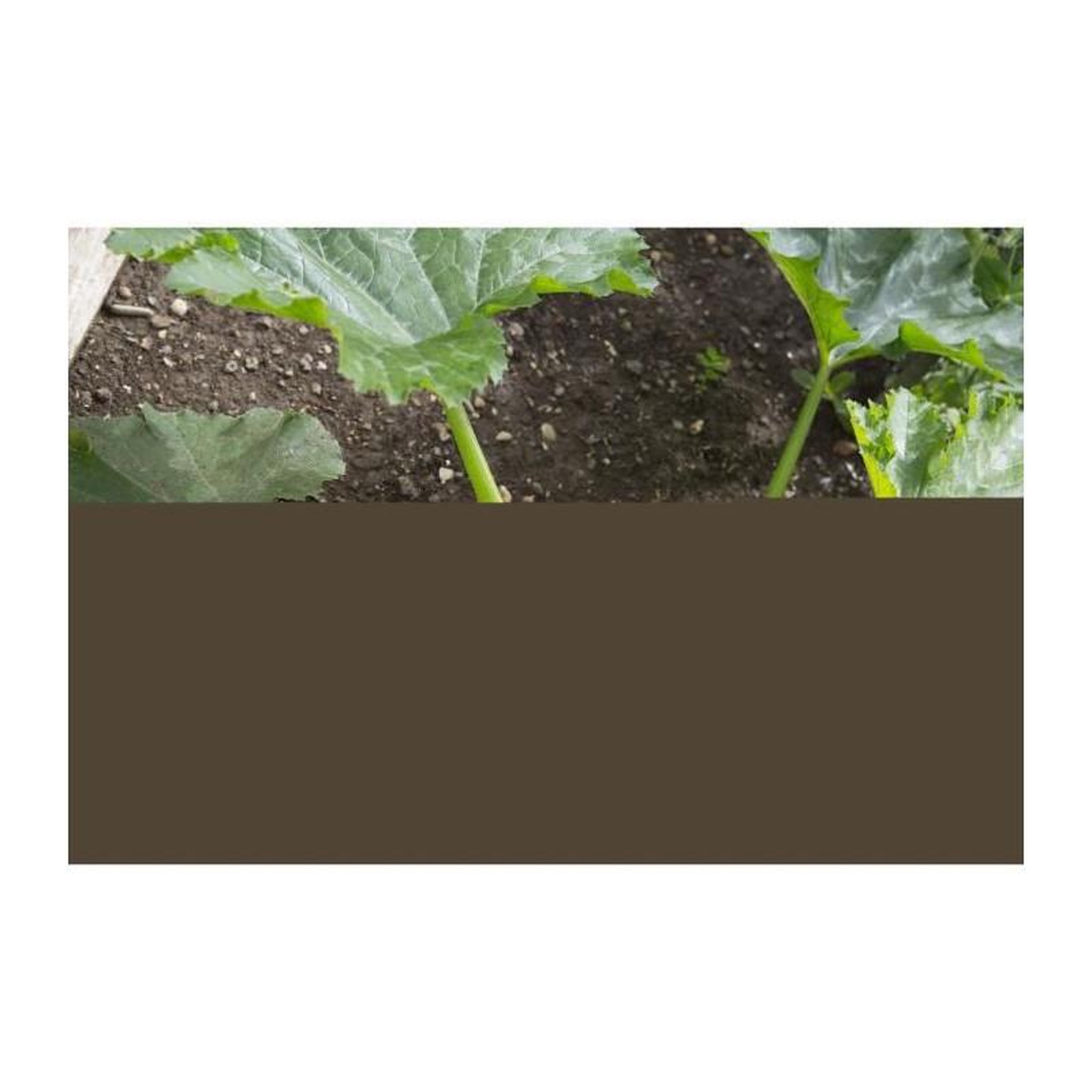 Voir la diapositive 3 : Gardena GARDENA Manche telescopique 90cm -145cm Combisystem | Support outils | Plusieurs tailles reglables | Garanti 25 ans 03719-20