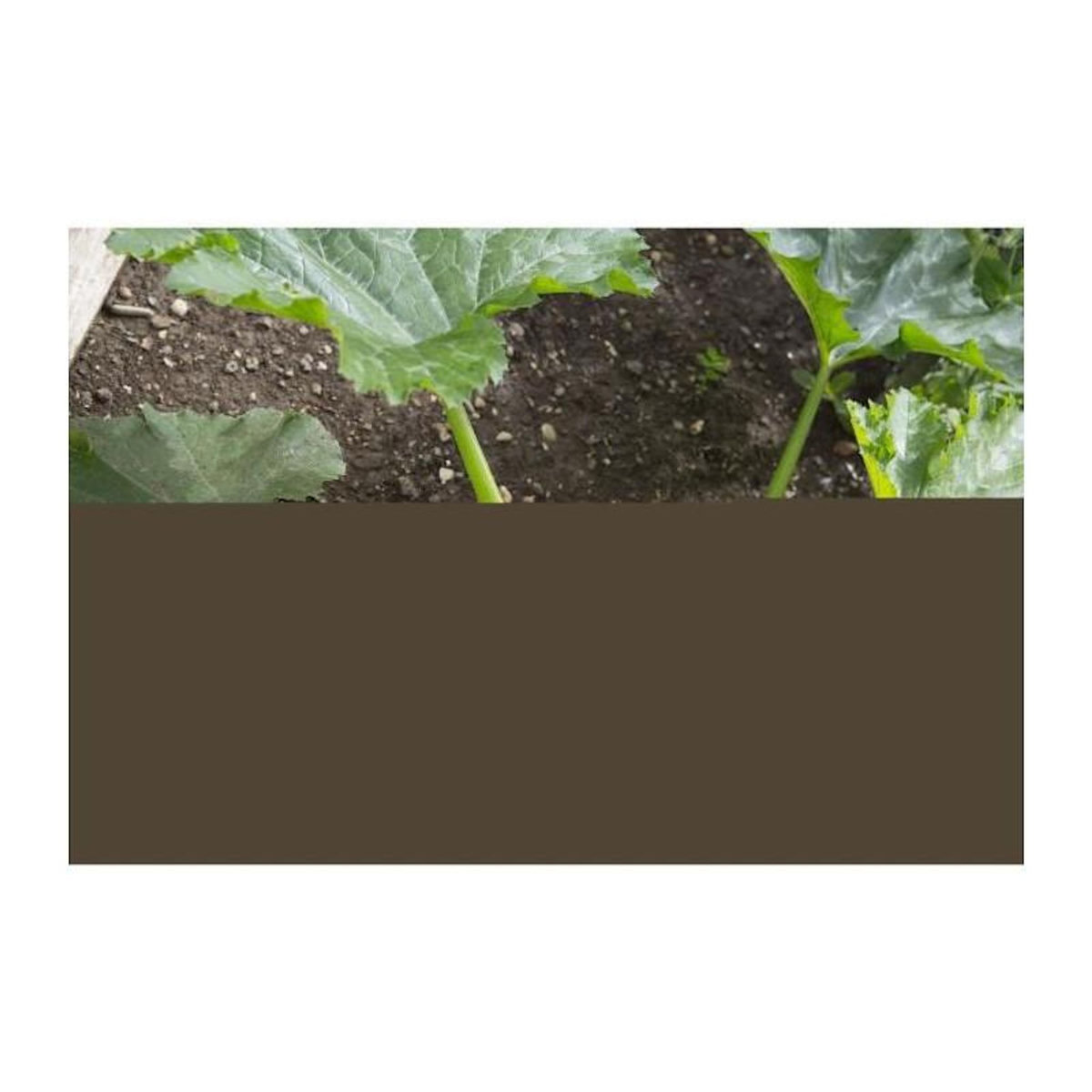 Gardena GARDENA Manche telescopique 90cm -145cm Combisystem | Support outils | Plusieurs tailles reglables | Garanti 25 ans 03719-20