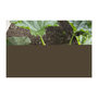 Voir la diapositive 3 : Gardena GARDENA Manche telescopique 90cm -145cm Combisystem | Support outils | Plusieurs tailles reglables | Garanti 25 ans 03719-20
