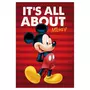 DISNEY Plaid polaire Mickey Mouse Couverture raye