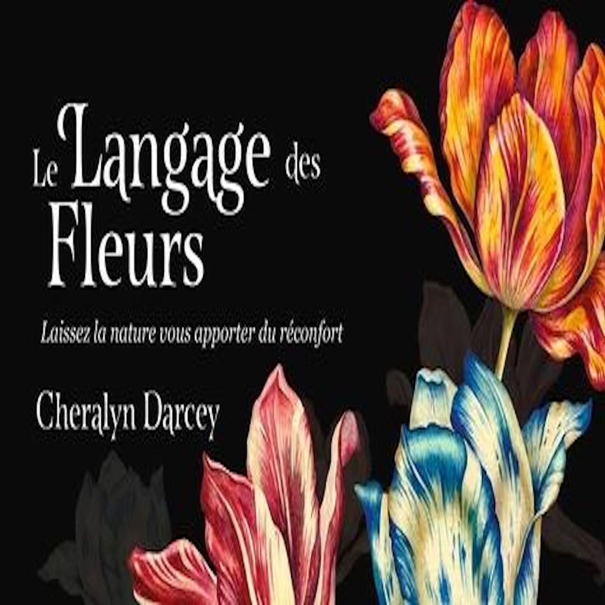 MON ORACLE DE POCHE LANGAGE DES FLEURS, Darcey Cheralyn