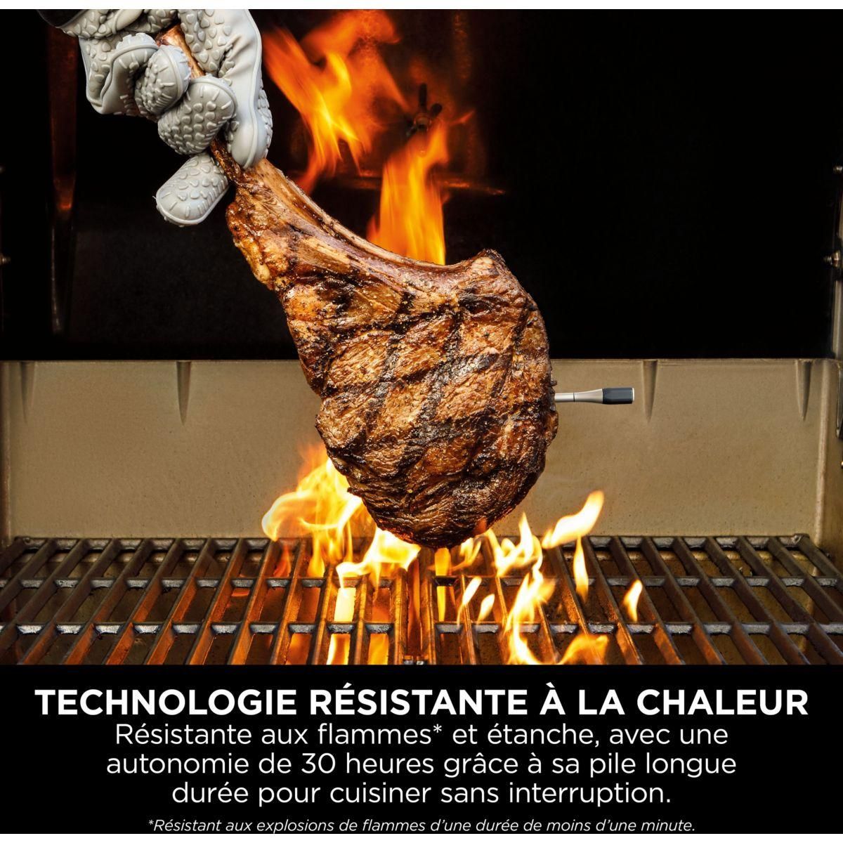 NINJA Thermomètre cuisson ProChef Wireless