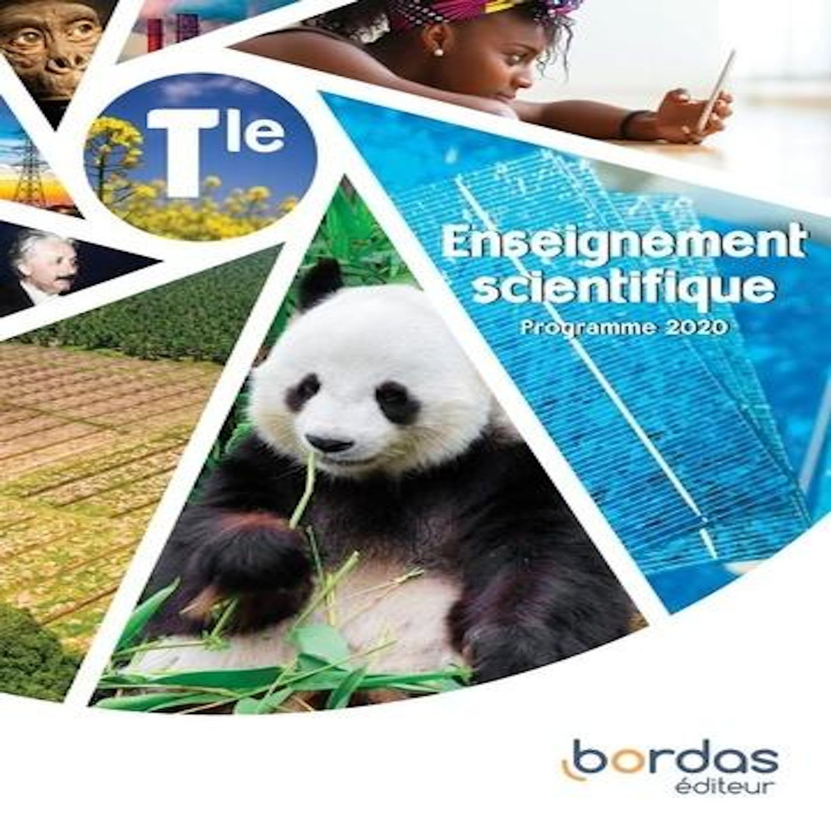 ENSEIGNEMENT SCIENTIFIQUE TLE. EDITION 2020, Bordas
