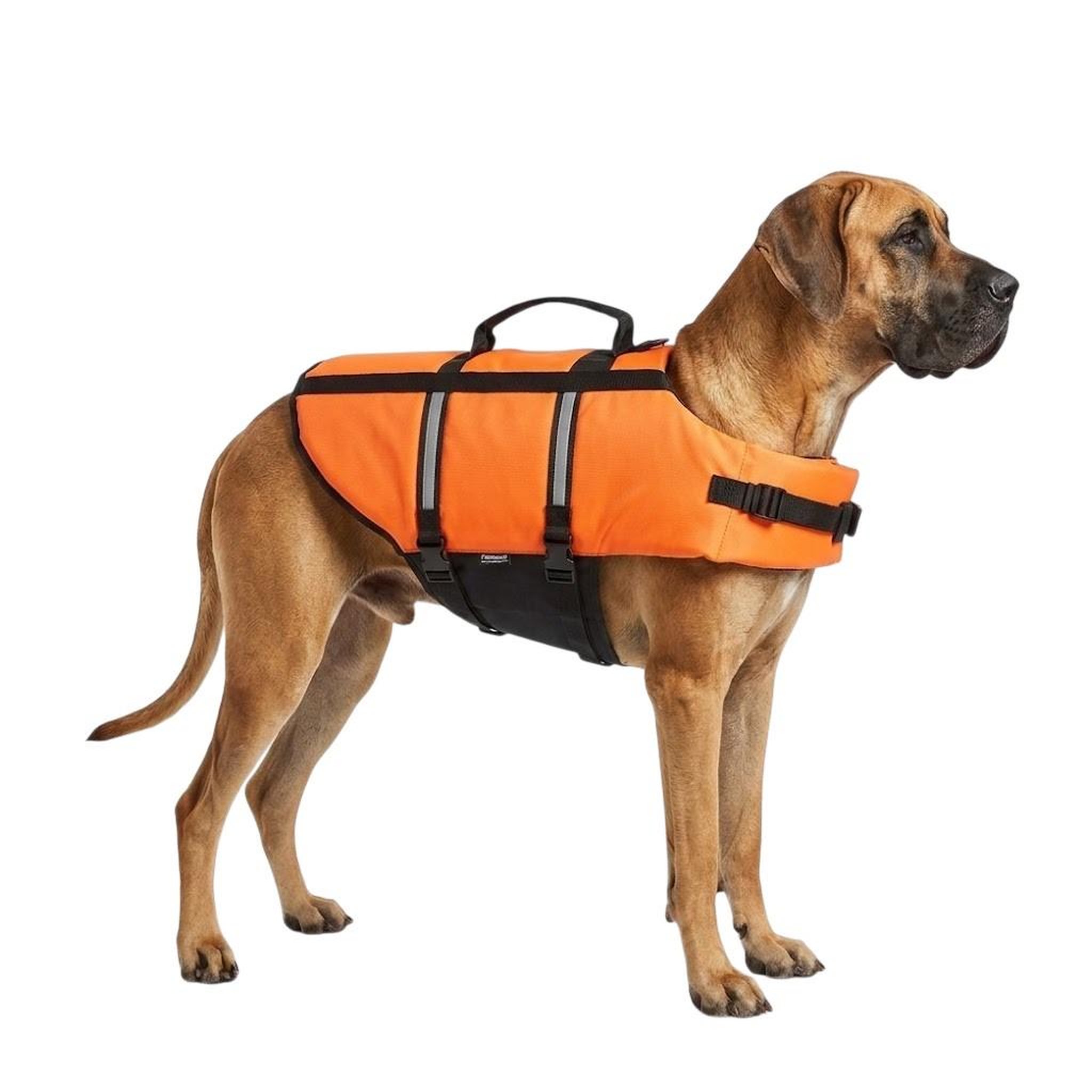 Eden Gilet de sauvetage pour chien marinus fluo. Coloris disponibles : Orange