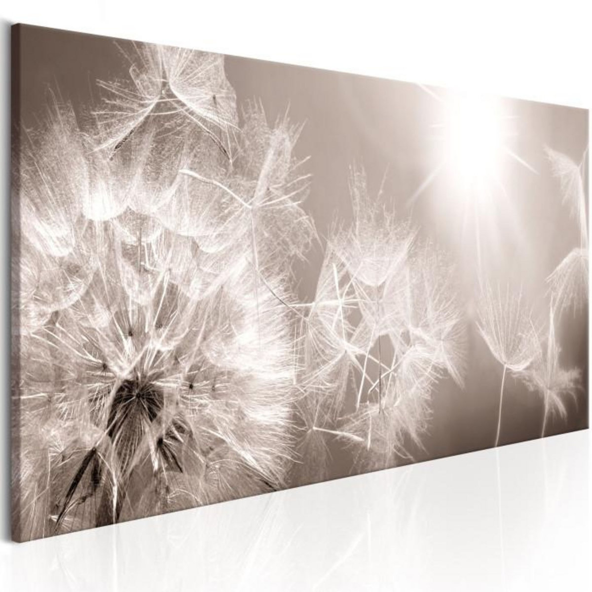 Paris Prix Tableau Imprimé  Summer Dandelions