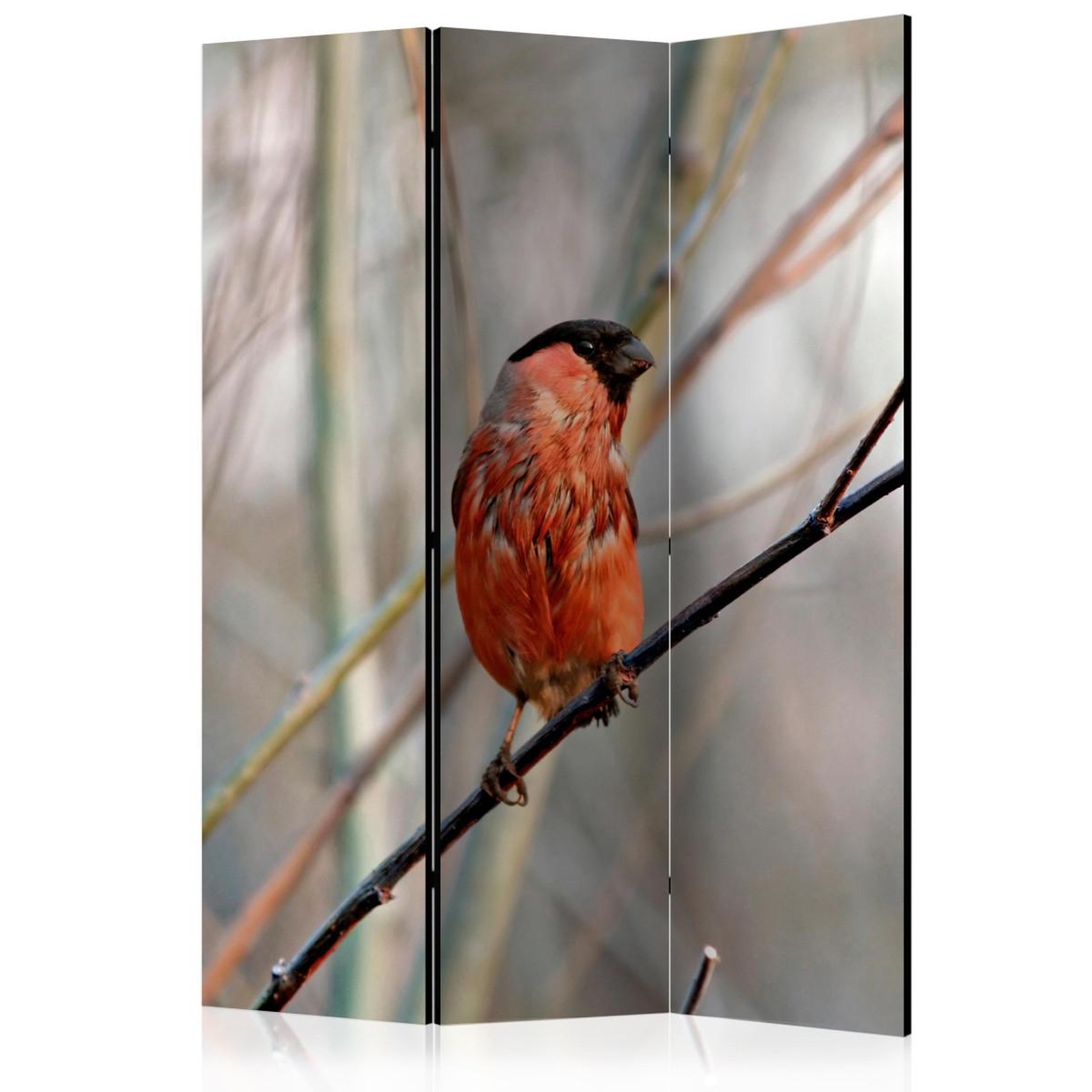 Paris Prix Paravent 3 volets  bullfinch in the forest  135x172cm