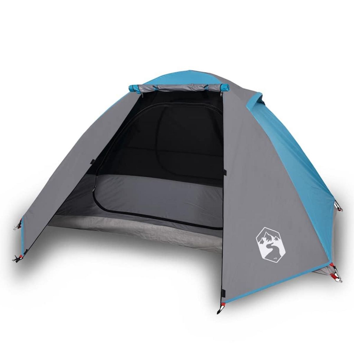 VIDAXL Tente de camping a dome 2 personne bleu impermeable