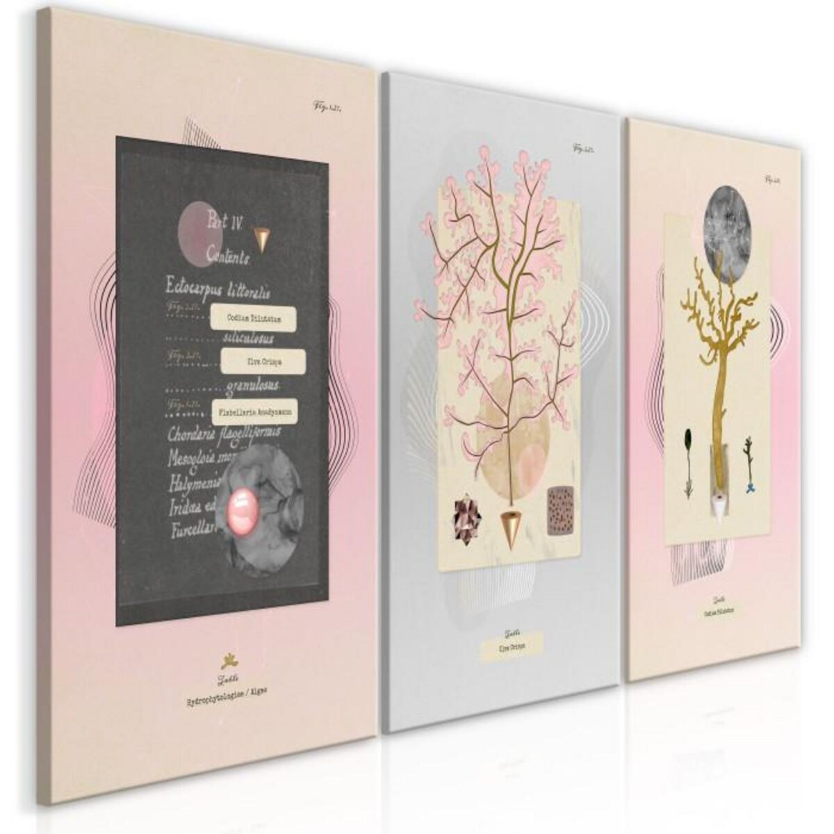 Paris Prix Tableau Imprimé  Unusual Plants 3 Panneaux  60x120cm