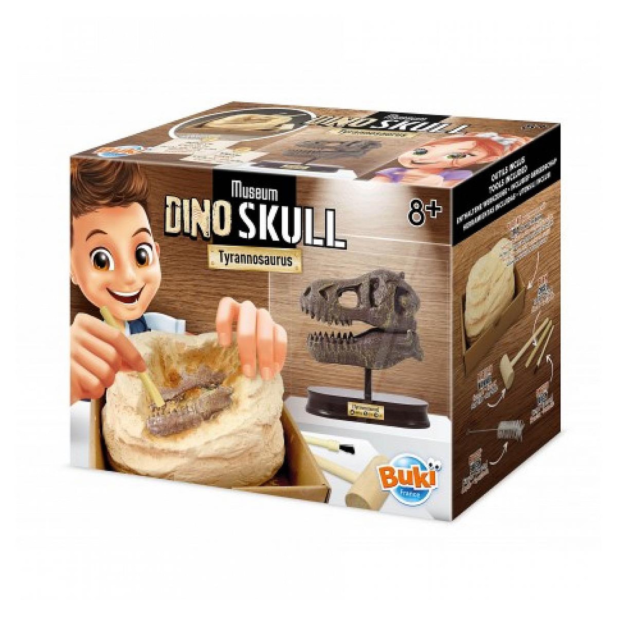 BUKI Museum Dino skull Crane de T Rex