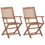 VIDAXL Chaises pliables d'exterieur lot de 2 Bois d'acacia solide