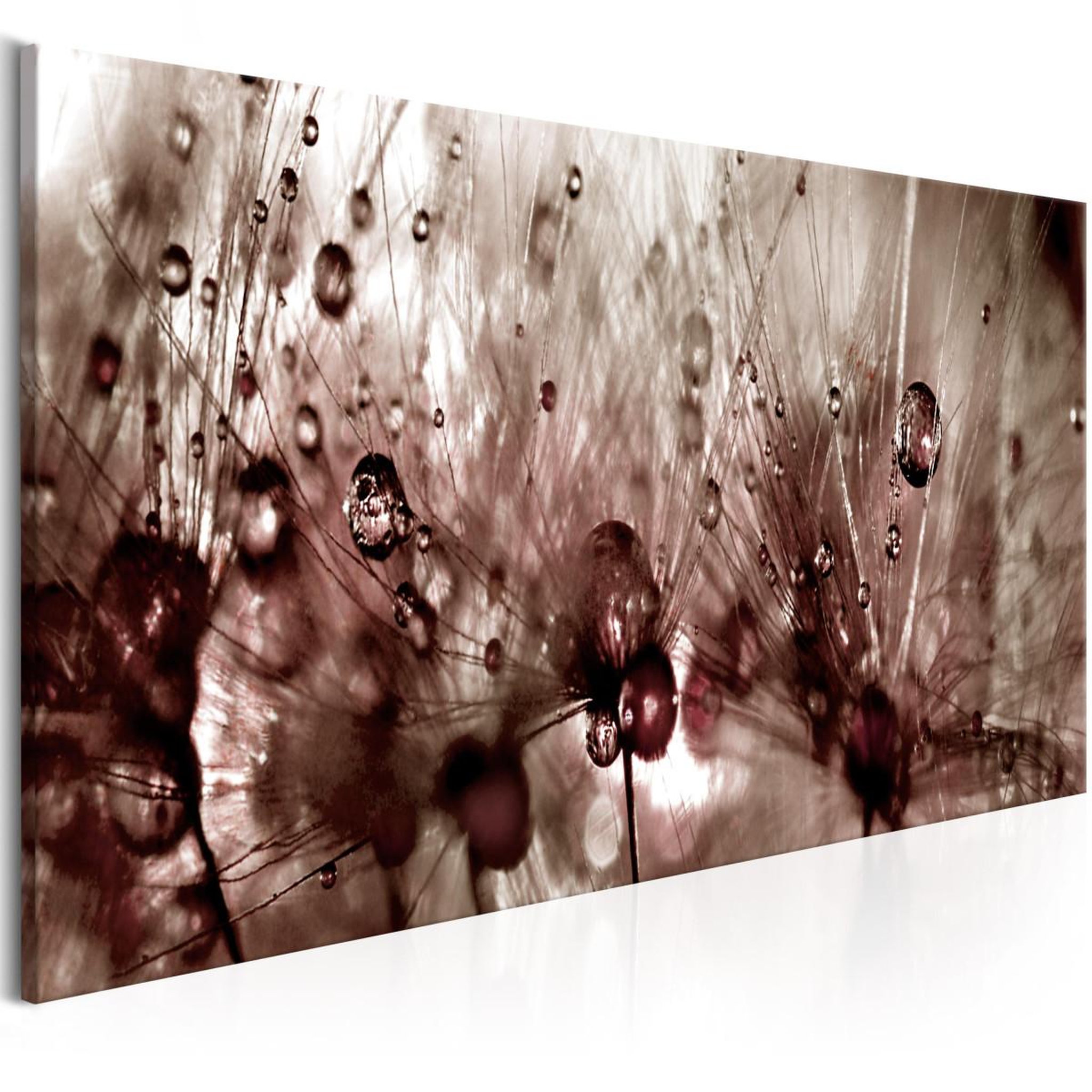 Voir la diapositive 1 : Paris Prix Tableau Imprimé  Dandelions After Rain