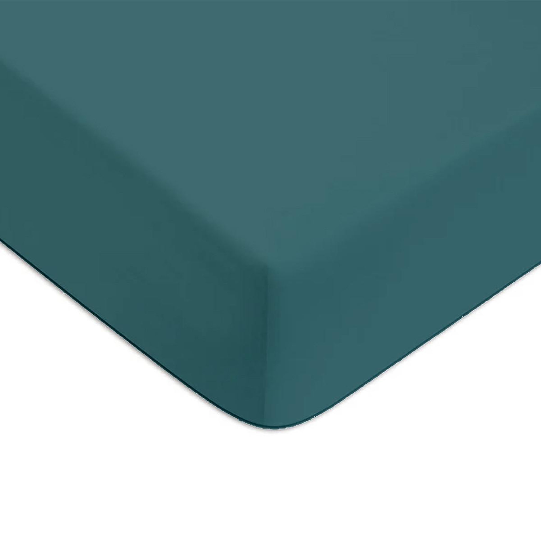 Voir la diapositive 1 : FUTURE HOME Drap housse en coton 57 fils uni bonnet 25cm