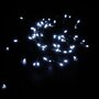 Voir la diapositive 8 : ACTUEL Guirlande solaire extérieure 100 led