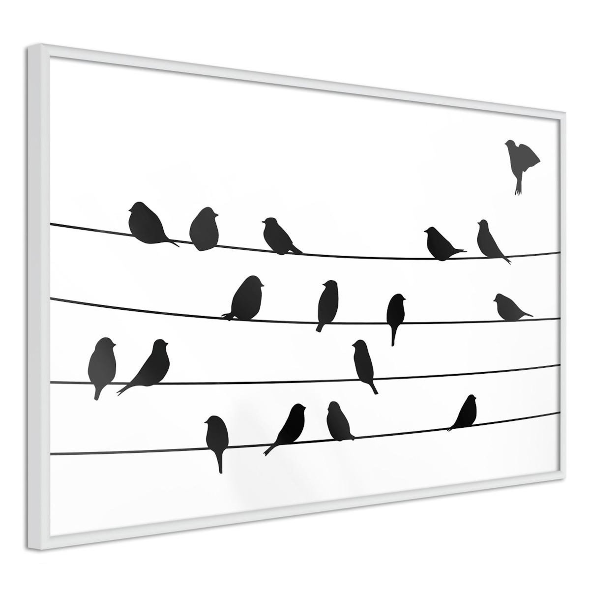 Paris Prix Affiche Murale Encadrée  Birds Council Meeting