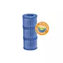 Netspa Lot de 3 cartouches de filtration antibactériennes pour spa gonflable ou portable - Netspa