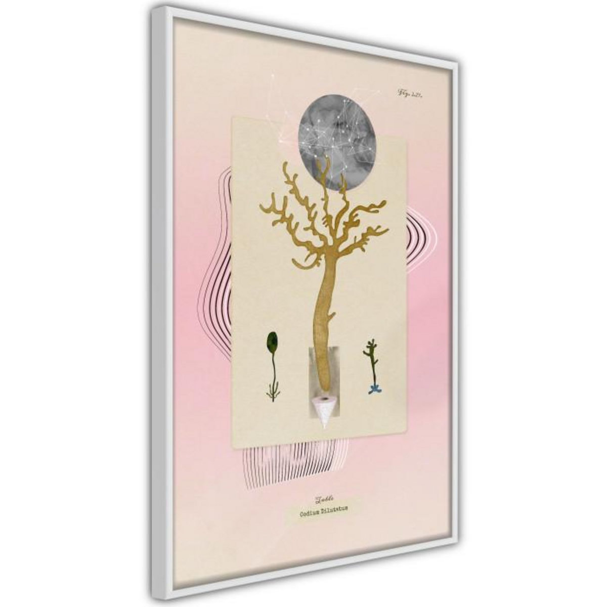 Paris Prix Affiche Murale Encadrée  Aquatic Plant