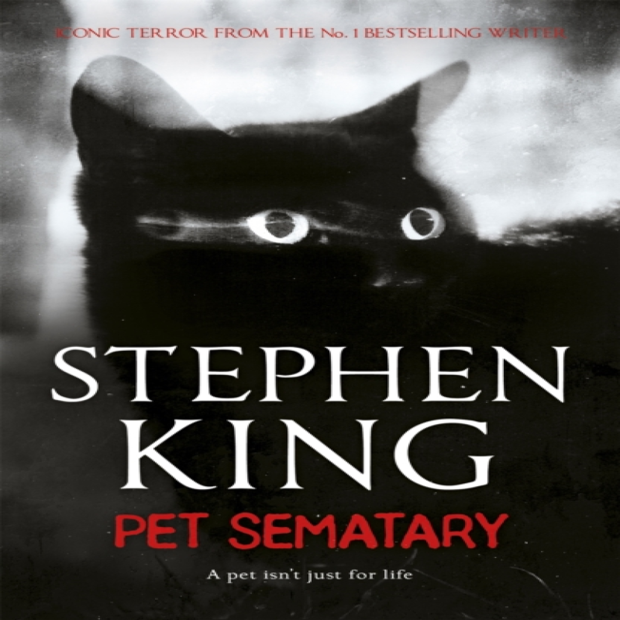 LIVRES Pet Sematary : An iconic chiller from the No. 1 bestseller