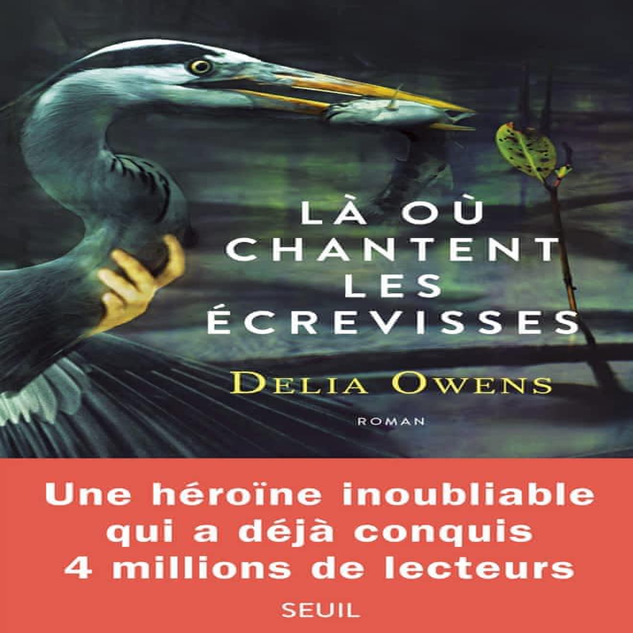 LA OU CHANTENT LES ECREVISSES, Owens Delia