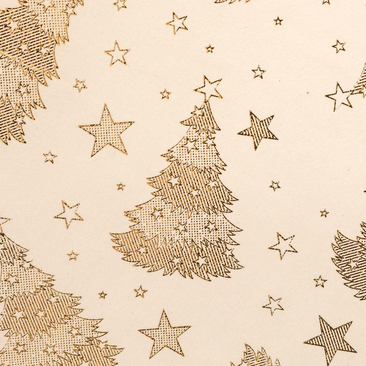 FEERIC LIGHT & CHRISTMAS Lot de 2 sets de table en velours SAPIN