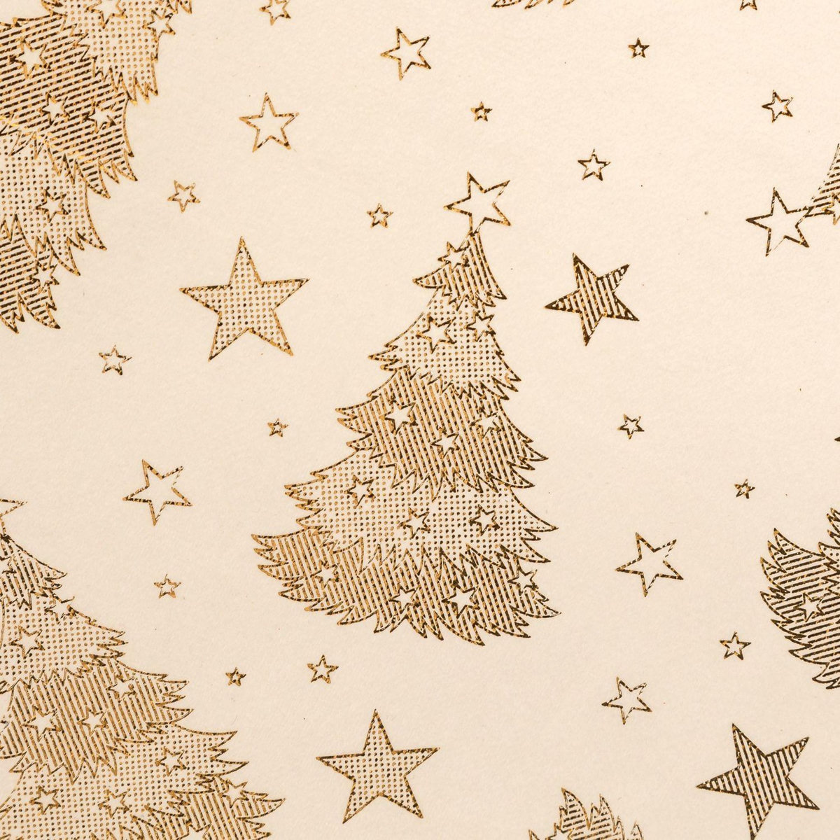 FEERIC LIGHT & CHRISTMAS Lot de 2 sets de table en velours SAPIN