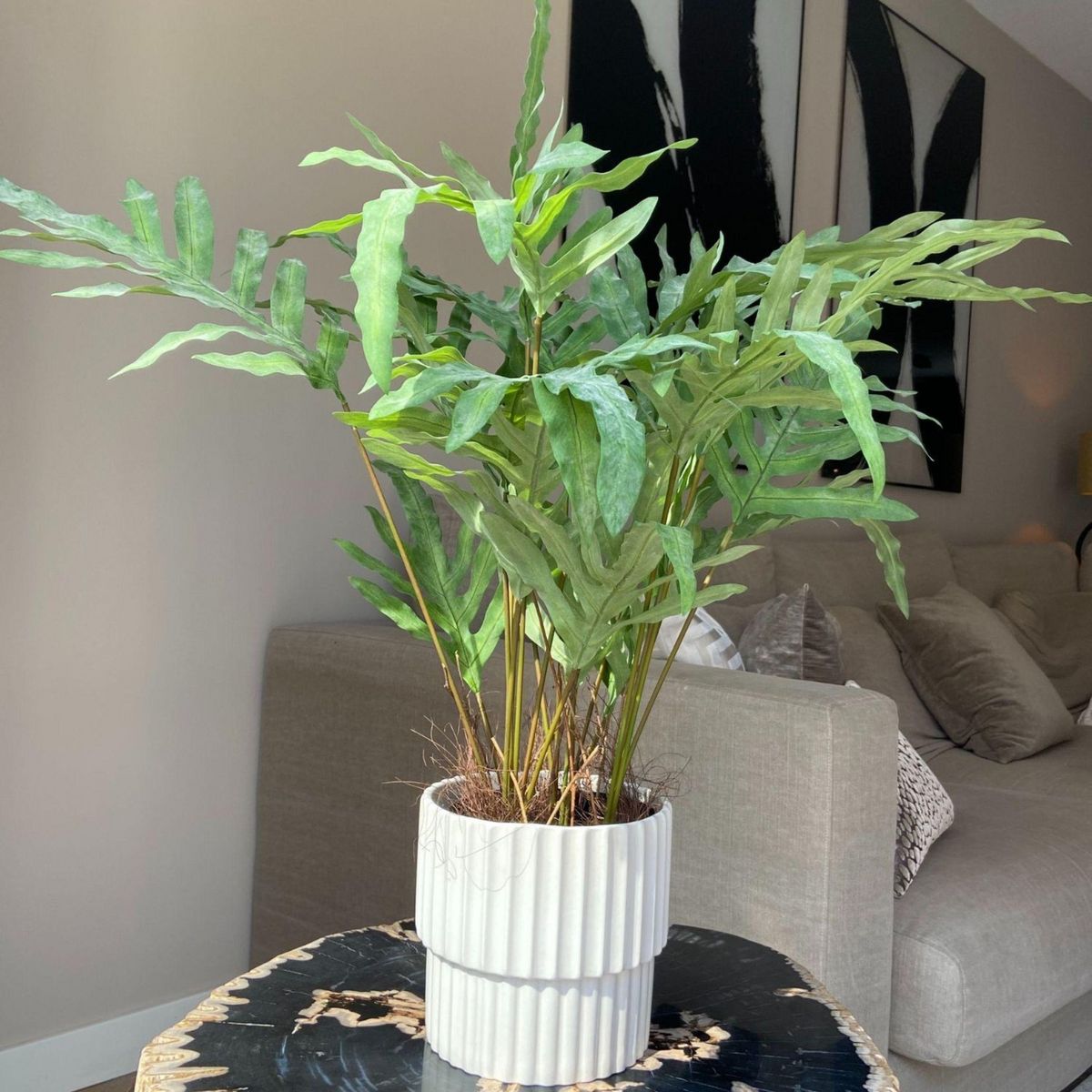 PLANT IN A BOX Phlébodium artificiel - Hauteur 80cm