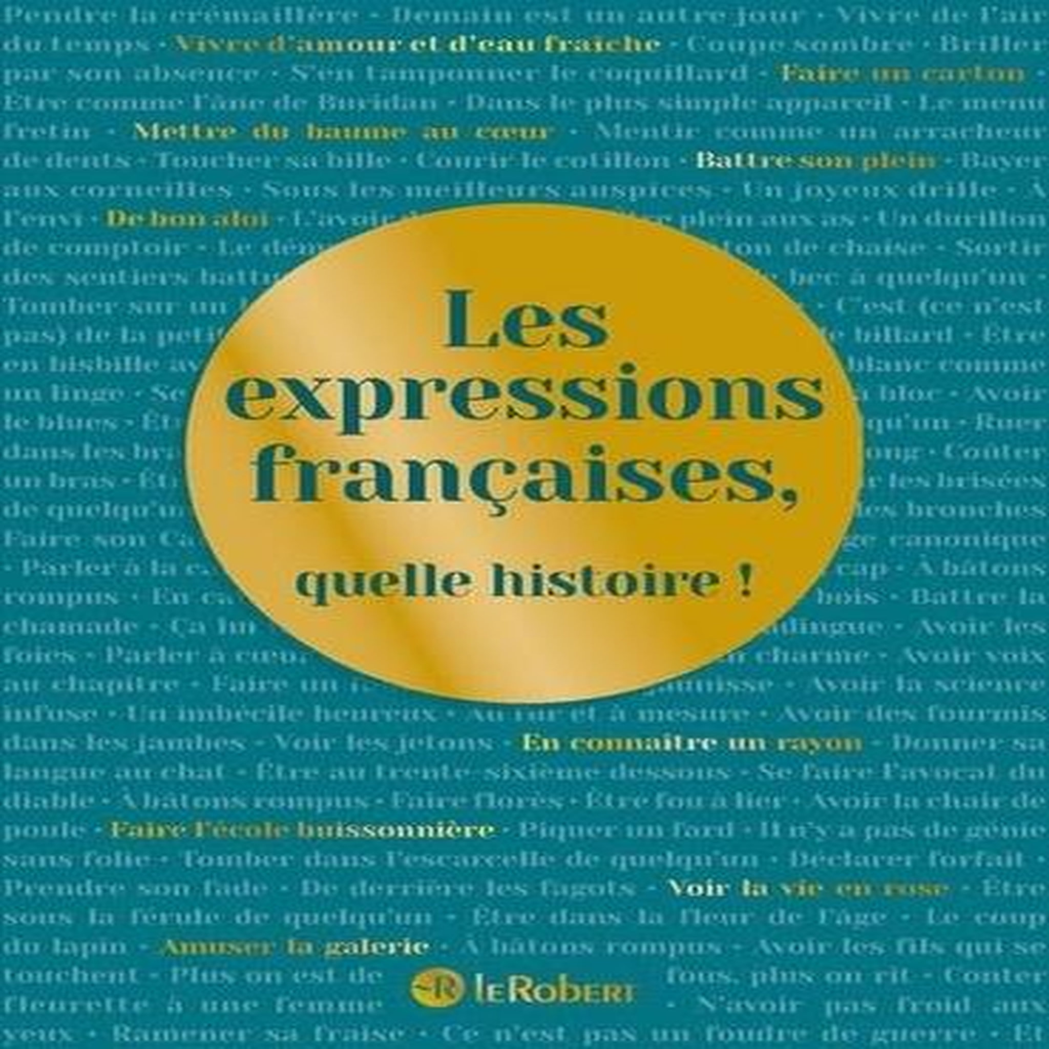 LES EXPRESSIONS FRANCAISES, QUELLE HISTOIRE !, Rey Alain