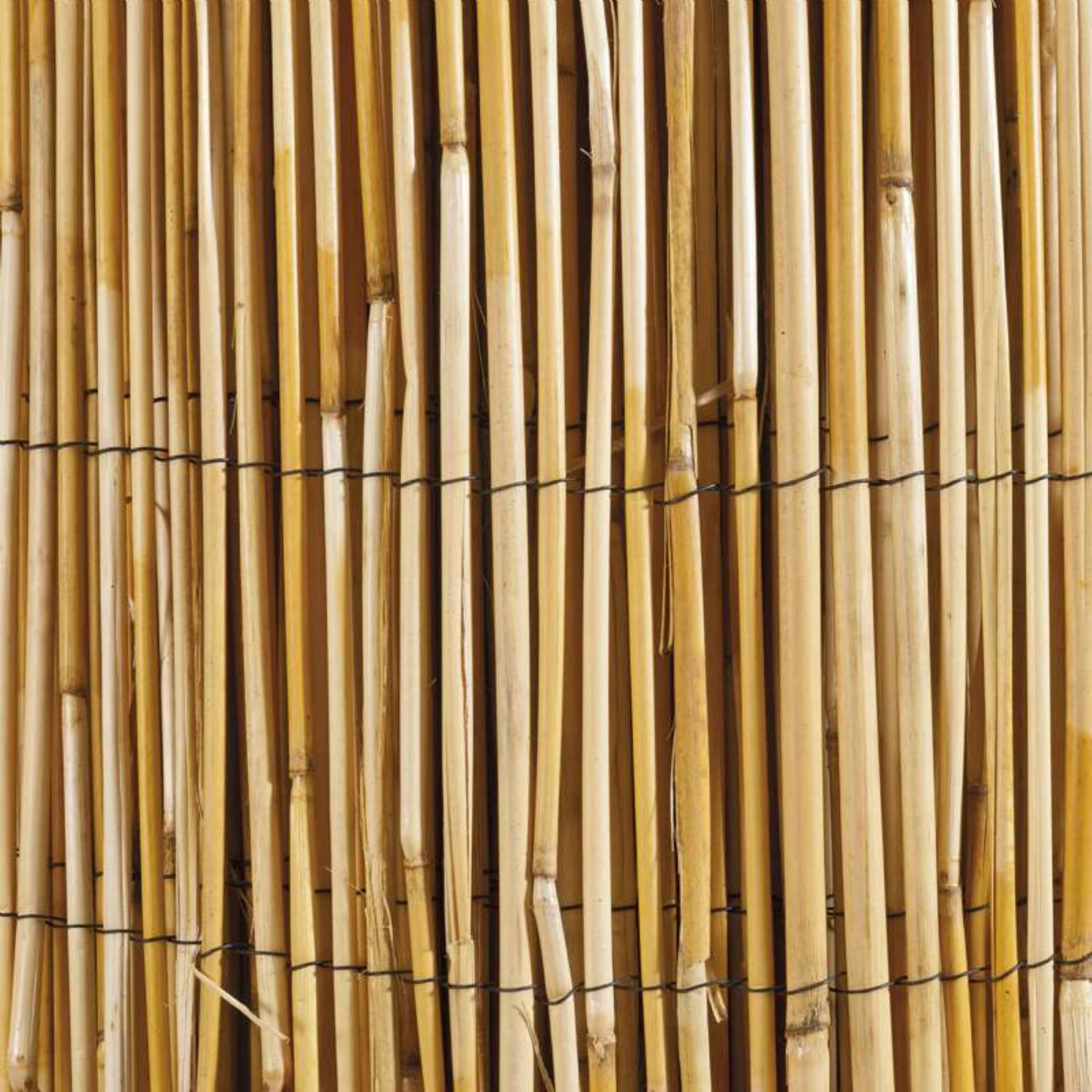 Voir la diapositive 2 : Windhager Canisse roseau naturel 2x5m