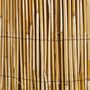 Voir la diapositive 2 : Windhager Canisse roseau naturel 2x5m