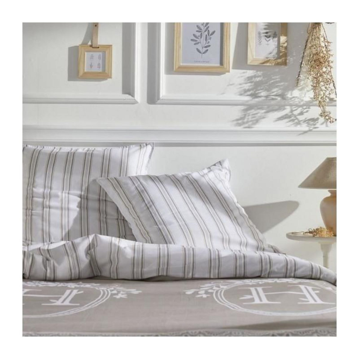 Today PARURE DE LIT TODAY - HOUSSE DE COUETTE 240X260 + 2 TAIES D OREILLER 63X63 - 100% COTON 57 fils - Berenice