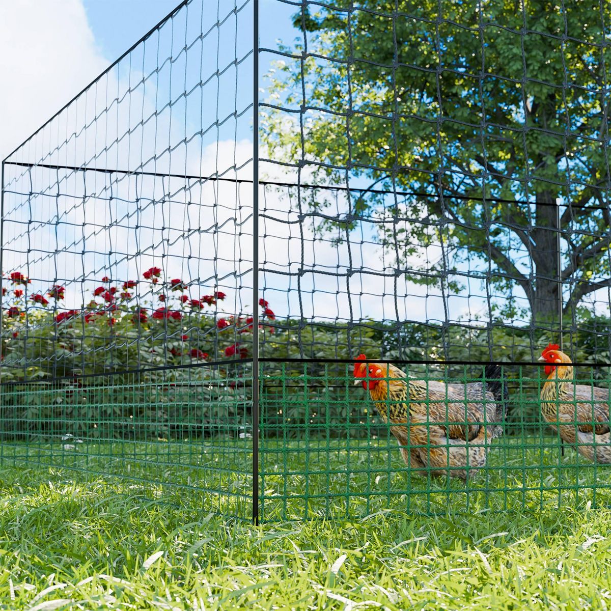 SWEEEK Kit filet  clôtures pour poules avec piquets double pointes, modulable, porte d'accès, sardines incluses