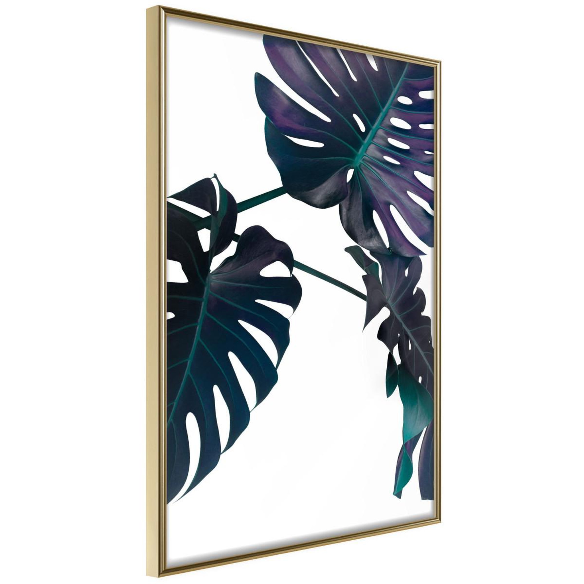 Paris Prix Affiche murale encadrée  evergreen monstera
